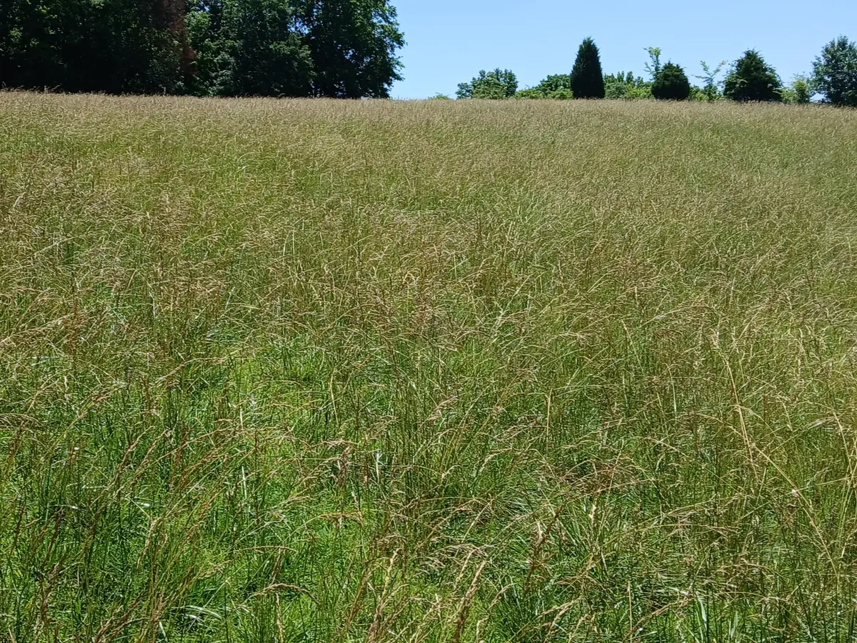 0 Lockertsville Road, Ashland City, TN 37015 - #1