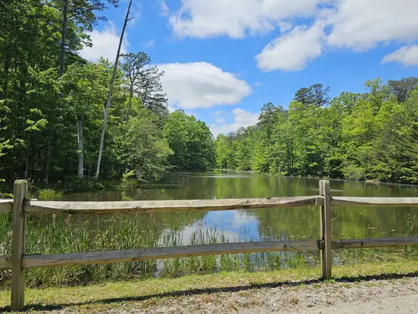 6 Beechwood Trail, Coalmont, TN 37313
