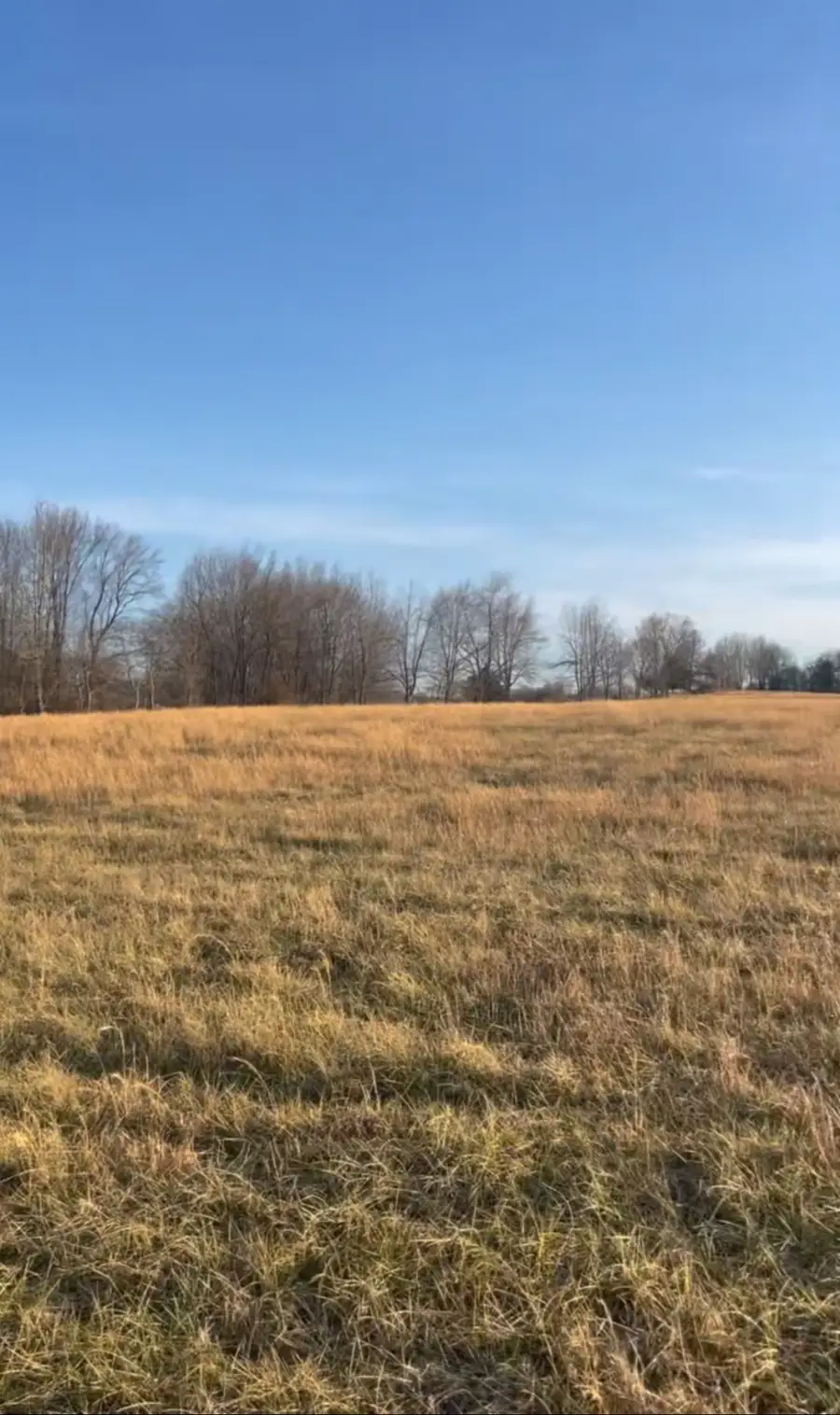 0 Thompson Ln, Portland, TN 37148 - #3