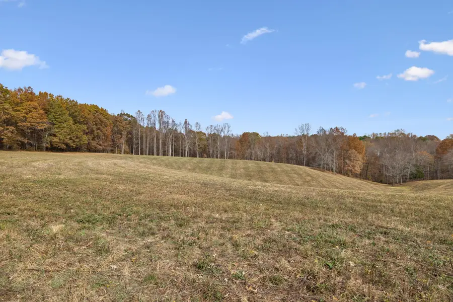 5515 Old Hwy 96, Franklin, TN 37064 - #3