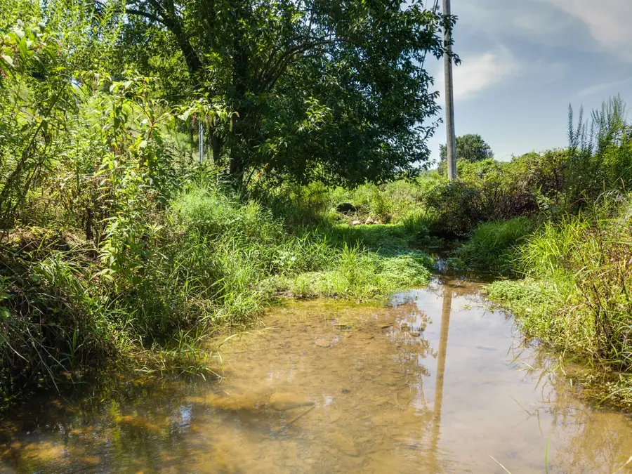0 Giles Hill Rd, College Grove, TN 37046 - #3