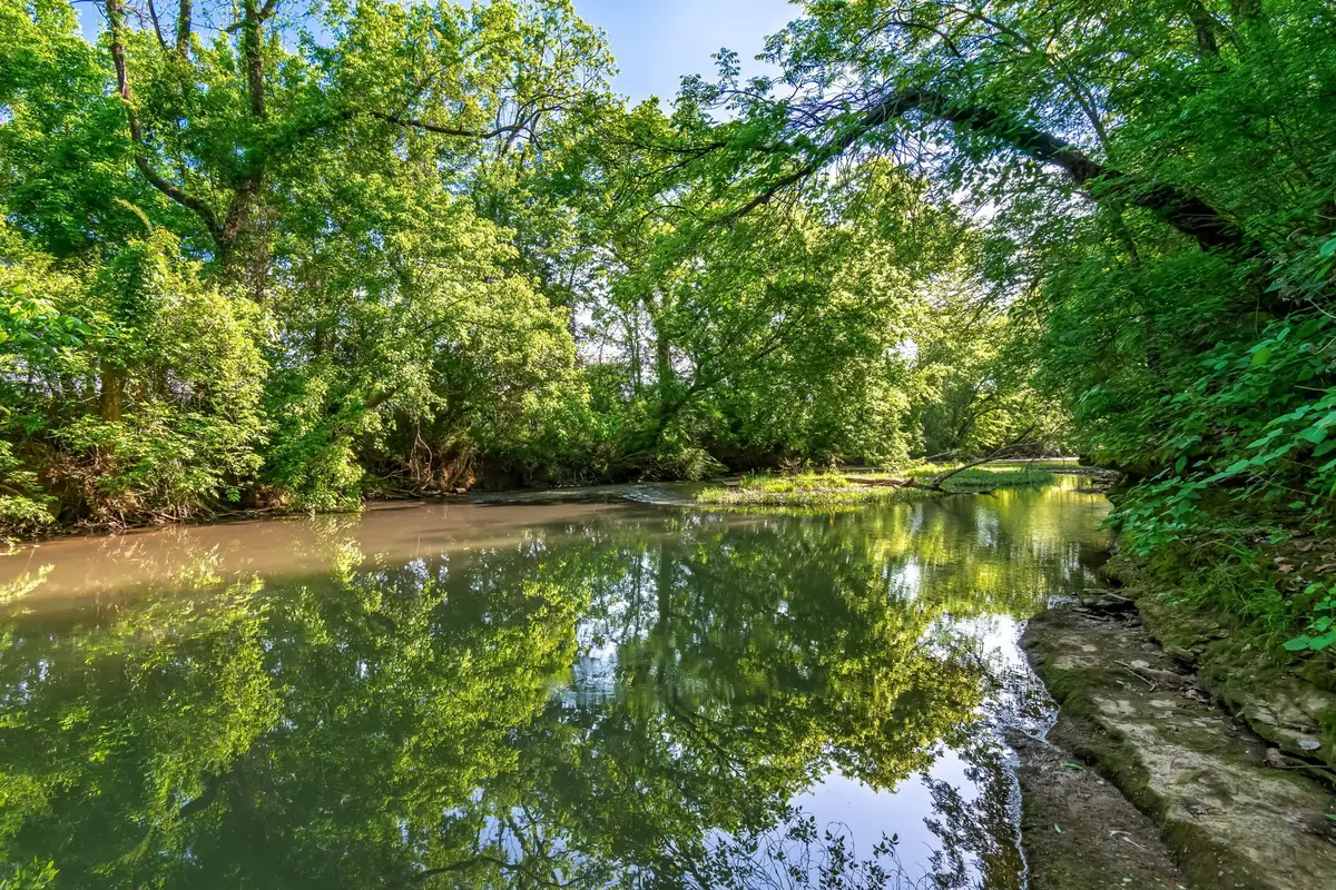 300 Gunter Smith Rd, Pulaski, TN 38478 - #1