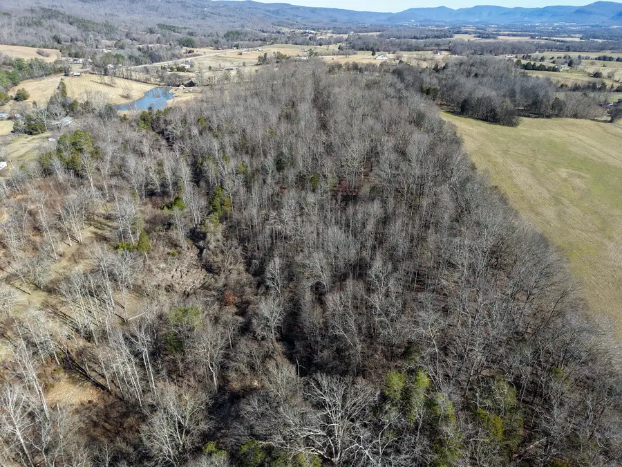 15634 Old State Highway 28, Pikeville, TN 37367 - #2