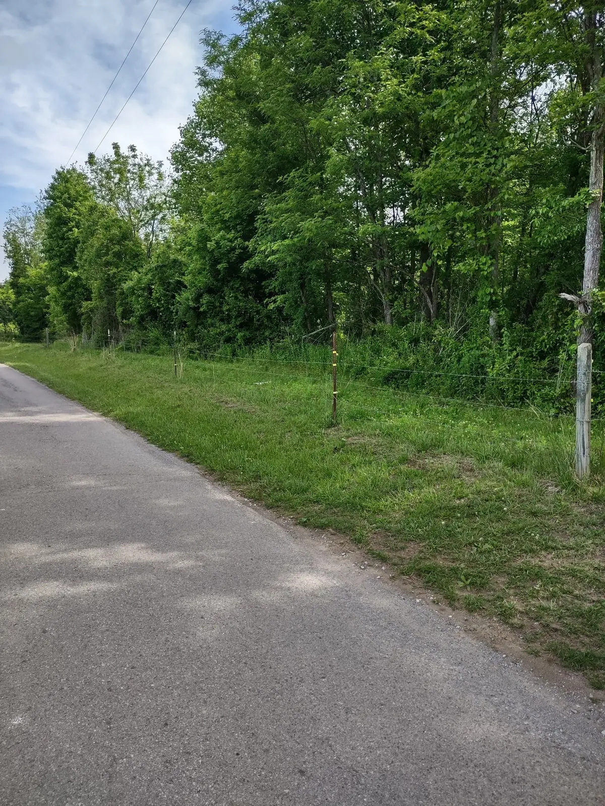 689 Stone Door Rd, Beersheba Springs, TN 37305 - #1