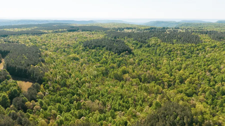 0 Browns Trace Road, South Pittsburg, TN 37380 - #3