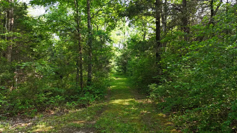 0 Luke Moser Rd, Columbia, TN 38401 - #3