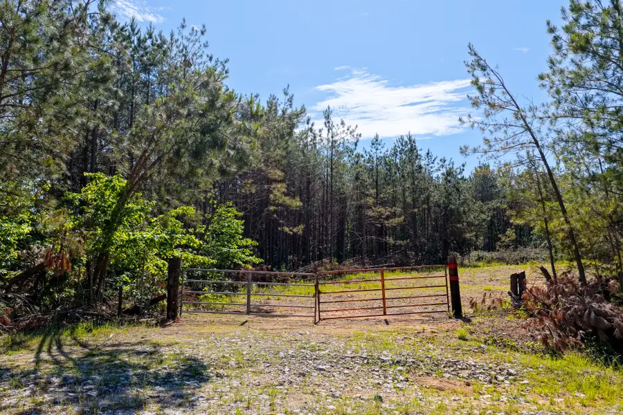 0 Darbytown Rd, Hohenwald, TN 38462 - #3