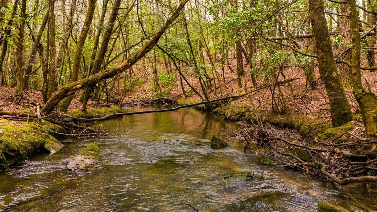 0 Timberwood Trce, Monteagle, TN 37356 - #1