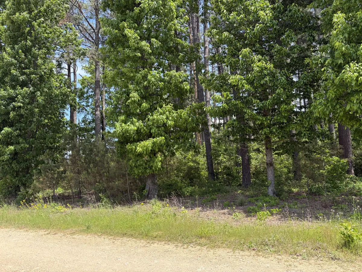 0 Fortyeight South Road, Waynesboro, TN 38485 - #1