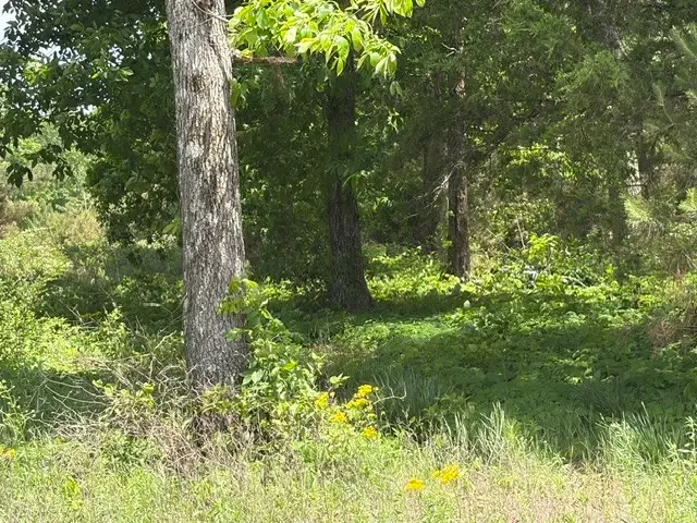 0 Fortyeight South Road, Waynesboro, TN 38485 - #2