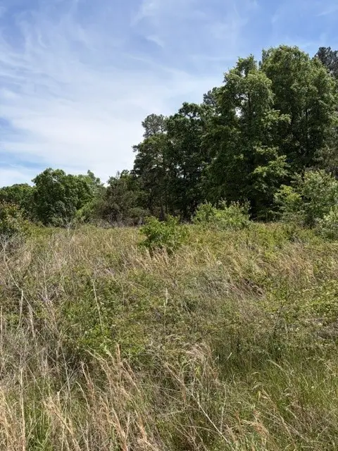 0 Fortyeight South Road, Waynesboro, TN 38485 - #3