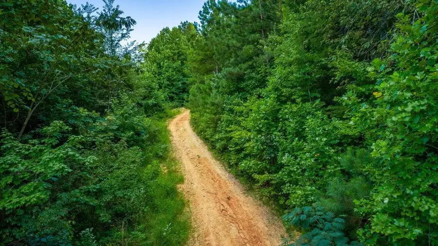 359 County Road 4, Calhoun, TN 37309 - #2