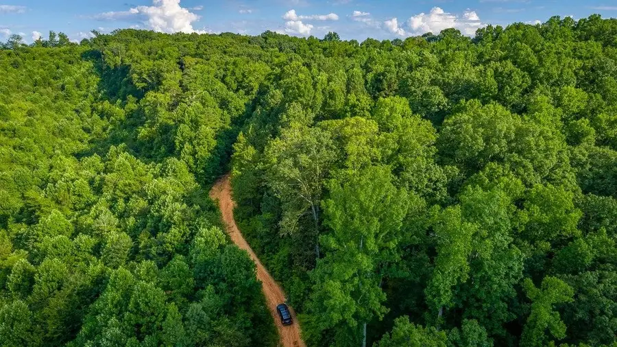 359 County Road 4, Calhoun, TN 37309 - #3