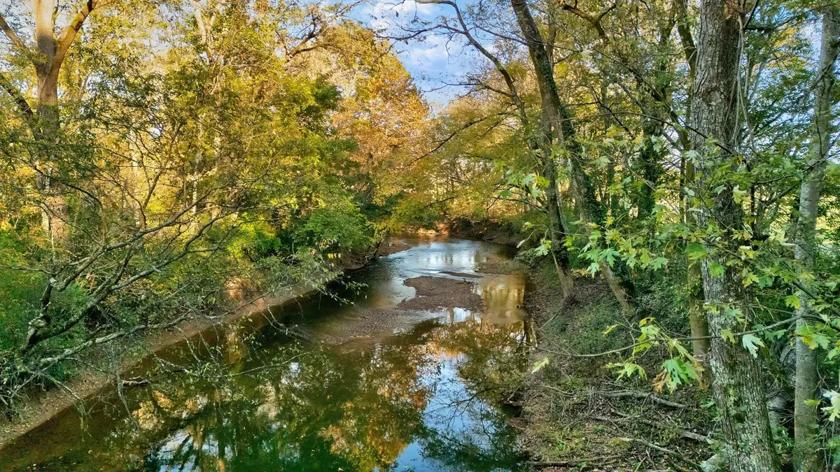 0 Carl Rd Tract 3, Franklin, TN 37064 - #1