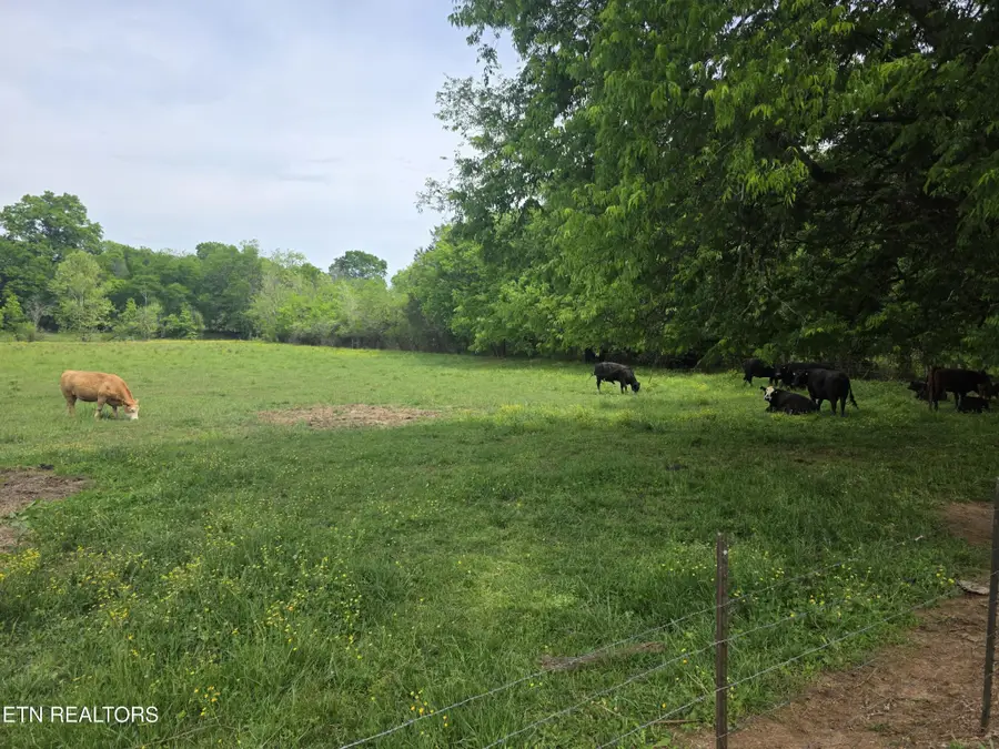 1 Maloneyville Rd, Corryton, TN 37721 - #2