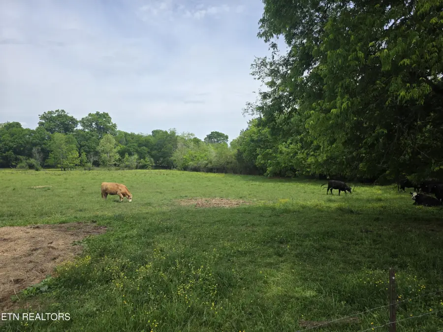 1 Maloneyville Rd, Corryton, TN 37721 - #3