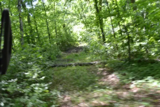 0 Beauchamp Rd, Burkesville, KY 42717 - #1