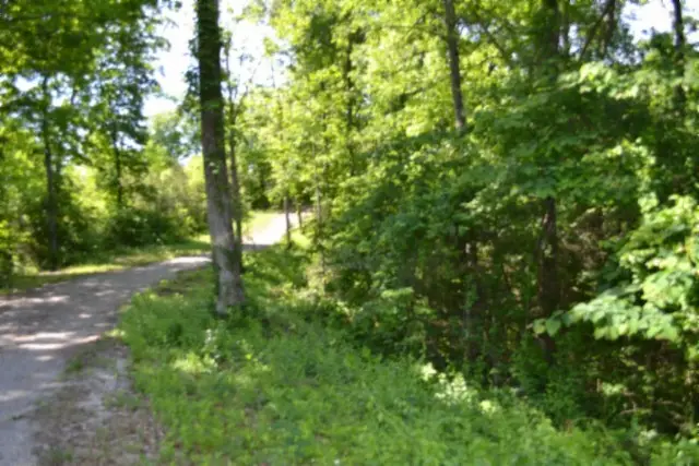 0 Beauchamp Rd, Burkesville, KY 42717 - #3