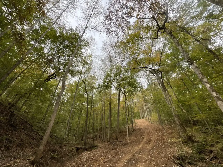 1 Budds Creek Road, Palmyra, TN 37142 - #3