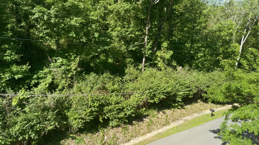 3 Saint James Pl, Nashville, TN 37215 - #3