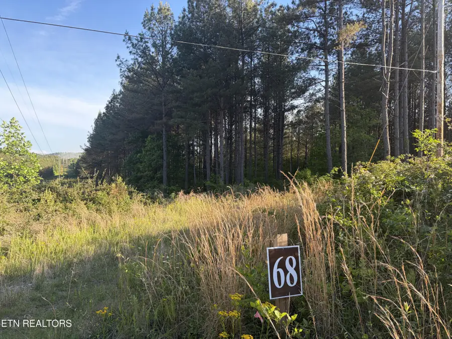68 Black Bear Lane, Sunbright, TN 37872 - #2