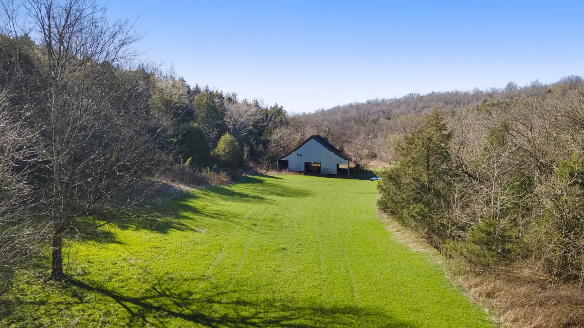 4250 Delina Rd, Cornersville, TN 37047 - #1