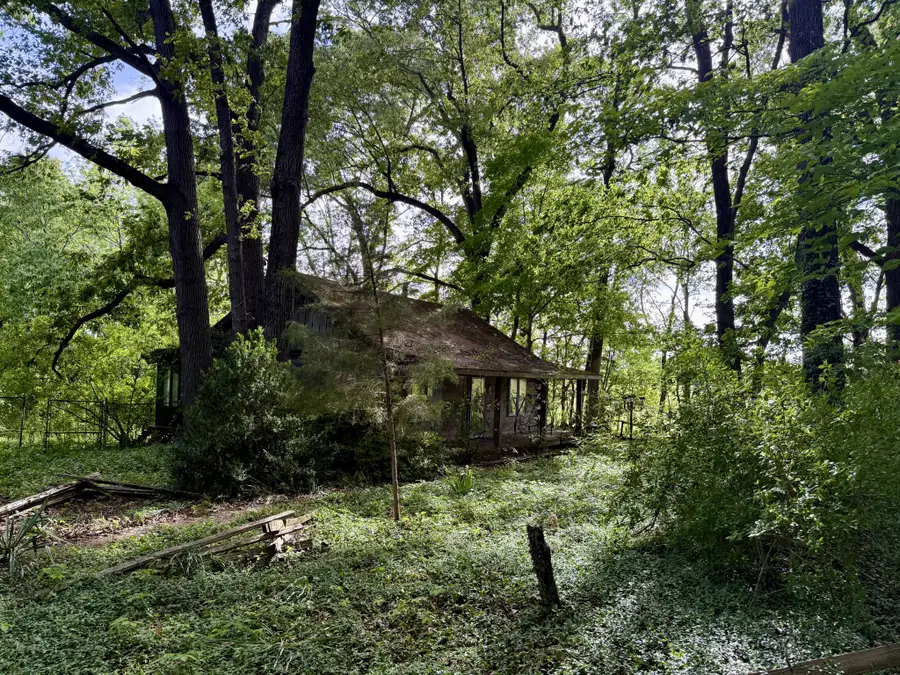 100 Dowlen Ln, Chapmansboro, TN 37035 - #2