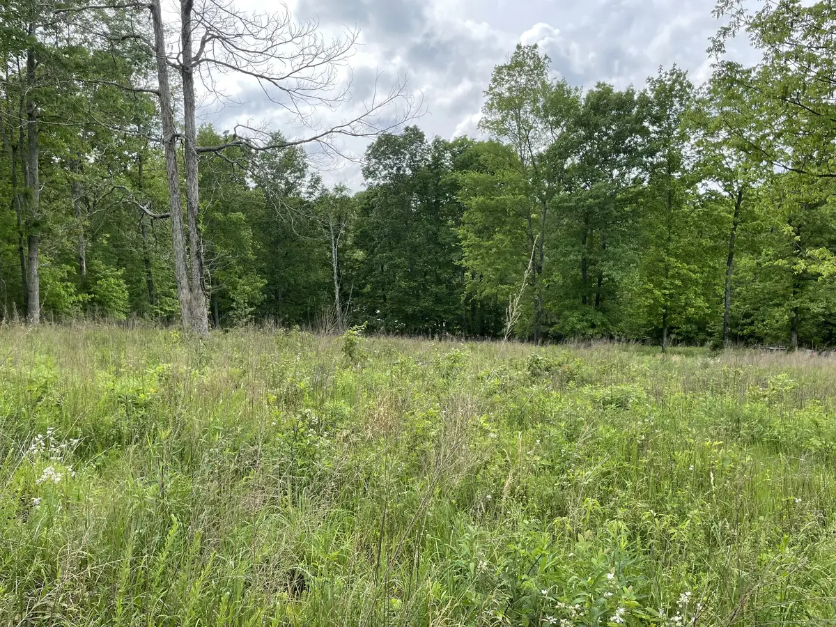 208 W Richview Rd, Cumberland City, TN 37050 - #1