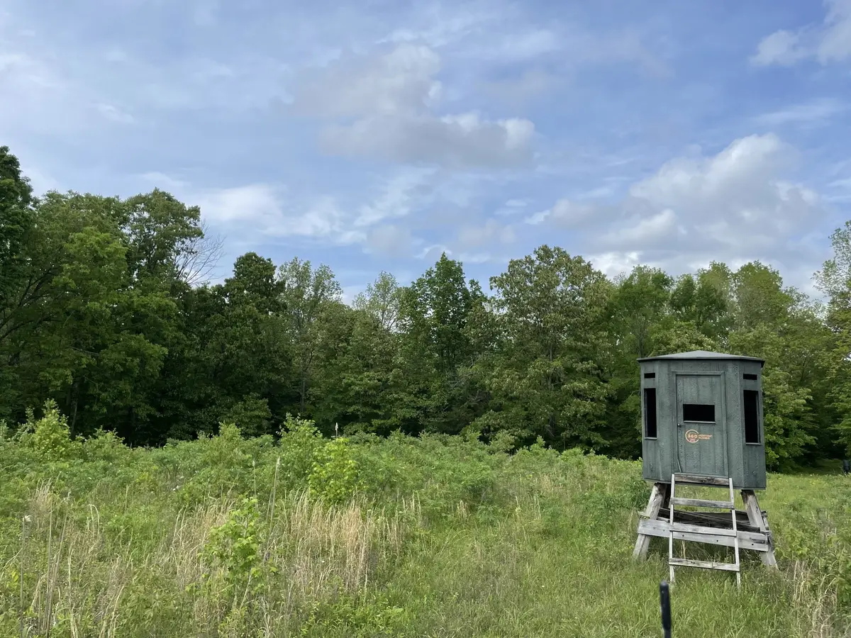 0 Kizer Ridge Road, Erin, TN 37061 - #1