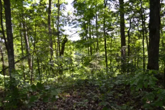 0 Beauchamp Rd, Burkesville, KY 42717 - #2