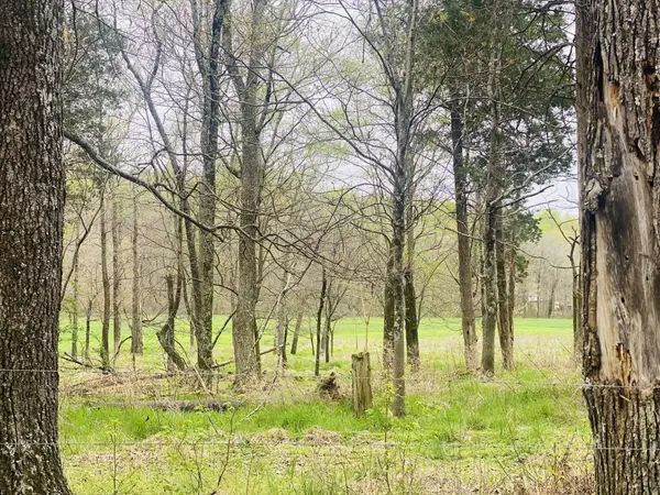 0 Thomasville Rd, Chapmansboro, TN 37035