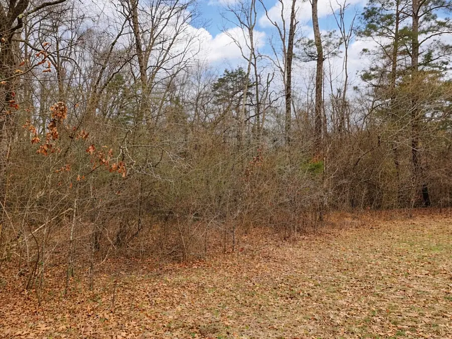 3180 Spring Place Road Se, Cleveland, TN 37323 - #3