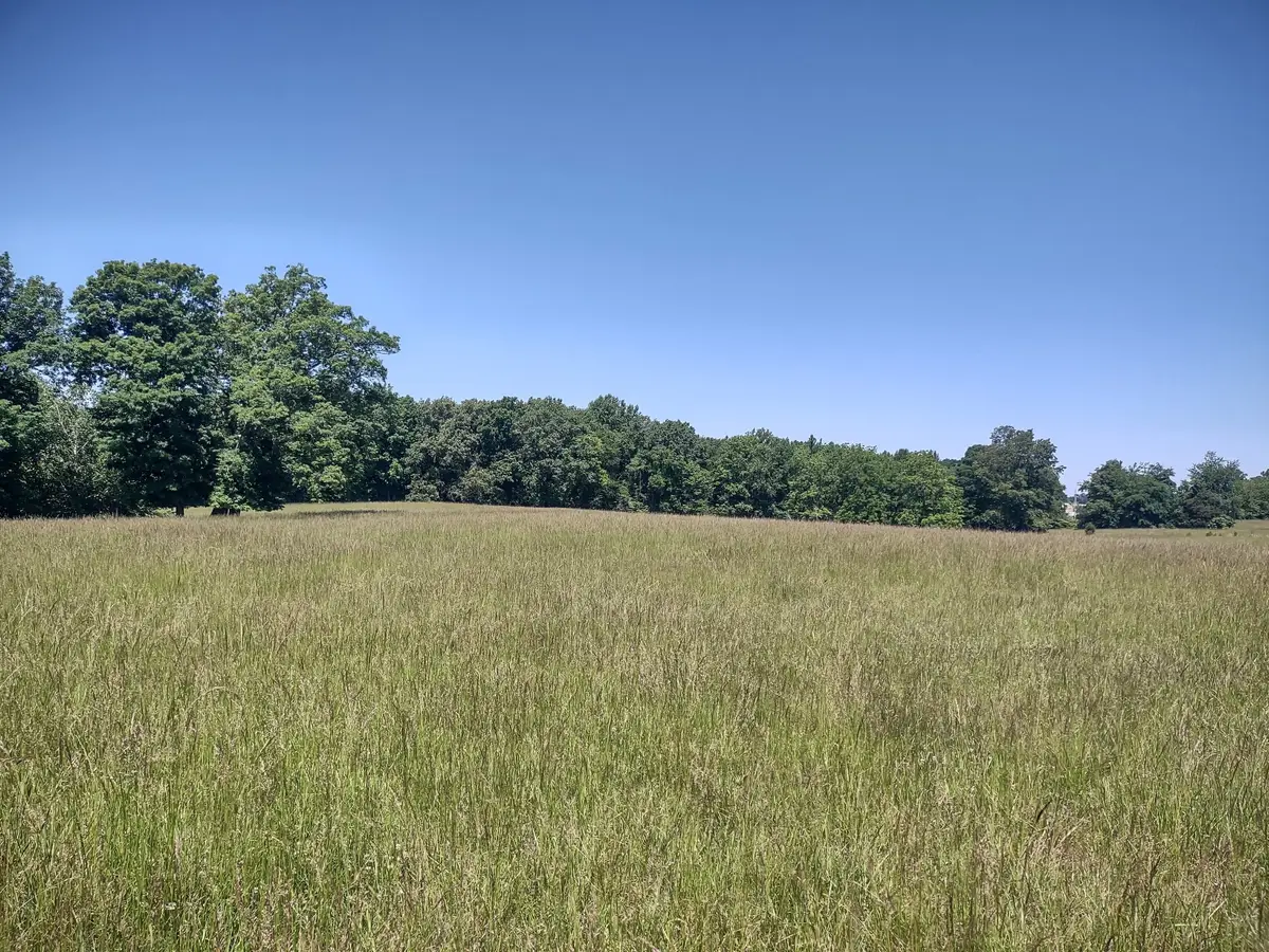 3 Valley Rd, Springfield, TN 37172 - #1