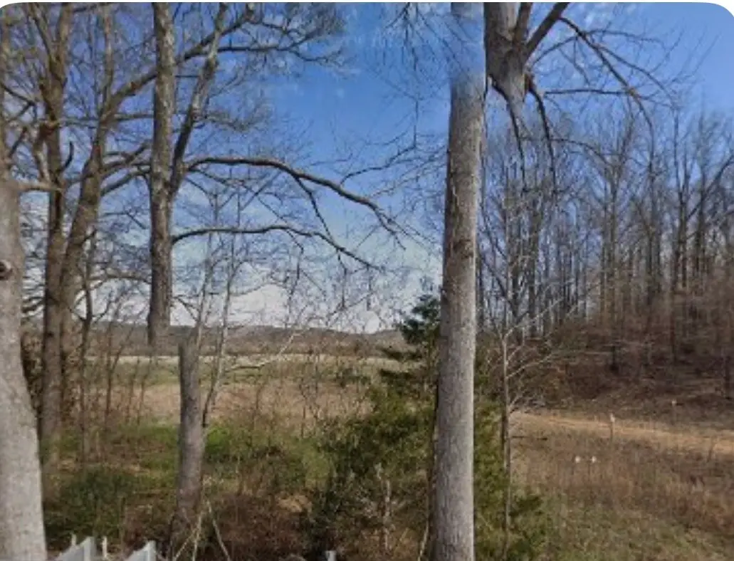 4698 Buffalo Rd, Hohenwald, TN 38462 - #1