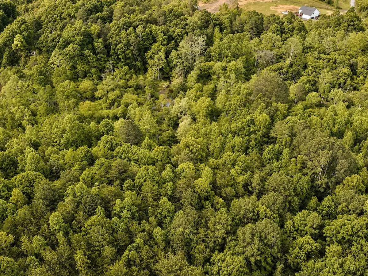 1 Se Washboard Road Se, Cleveland, TN 37323 - #1