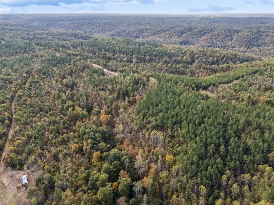 0 Old Mail Road, Duck River, TN 38454 - #3