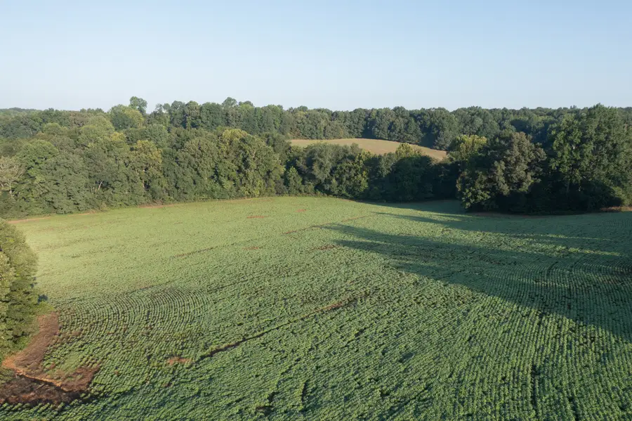 4776 Highway 48, Cumberland Furnace, TN 37051 - #2