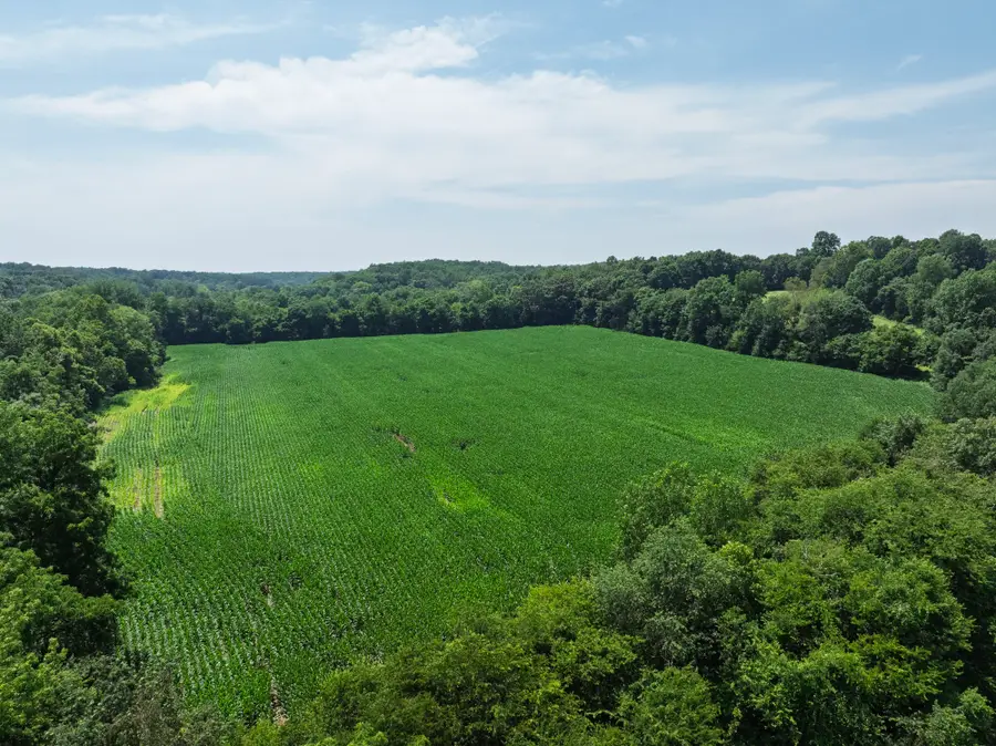 4776 Highway 48, Cumberland Furnace, TN 37051 - #3