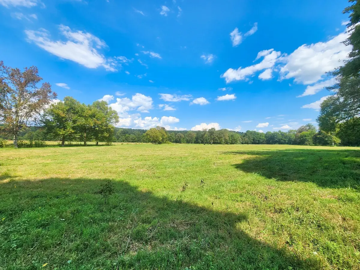 8312 Middle Butler Rd, Iron City, TN 38463 - #1
