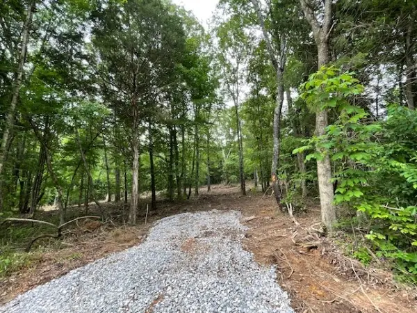 4587 Chapel Hill Rd, Southside, TN 37171 - #1