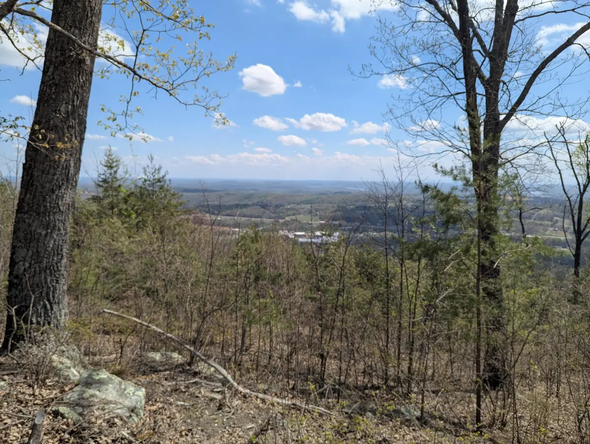 6 Escape Drive, Evensville, TN 37332 - #1