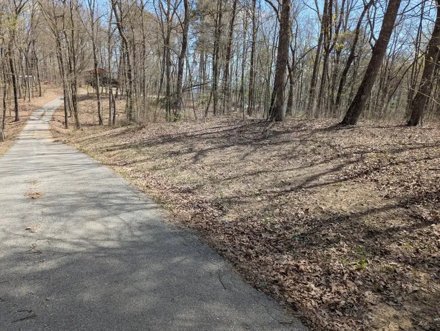 17 Duckwood Lane, Evensville, TN 37332 - #2