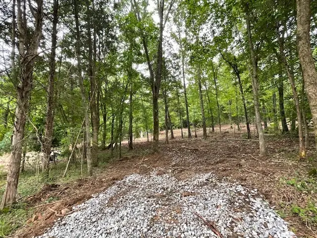 4595 Chapel Hill Rd, Southside, TN 37171 - #1