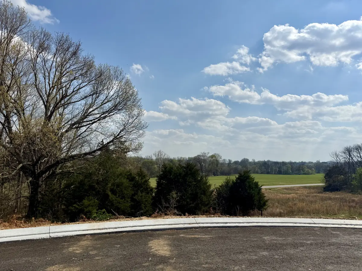 527 Divine Ct, Arrington, TN 37014 - #1