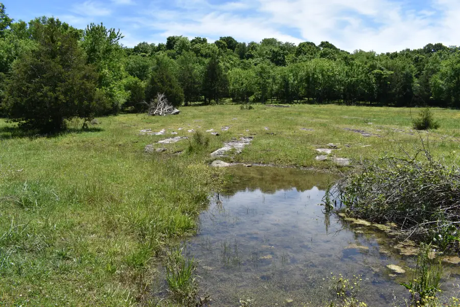 0 Belfast Farmington Rd, Lewisburg, TN 37091 - #3