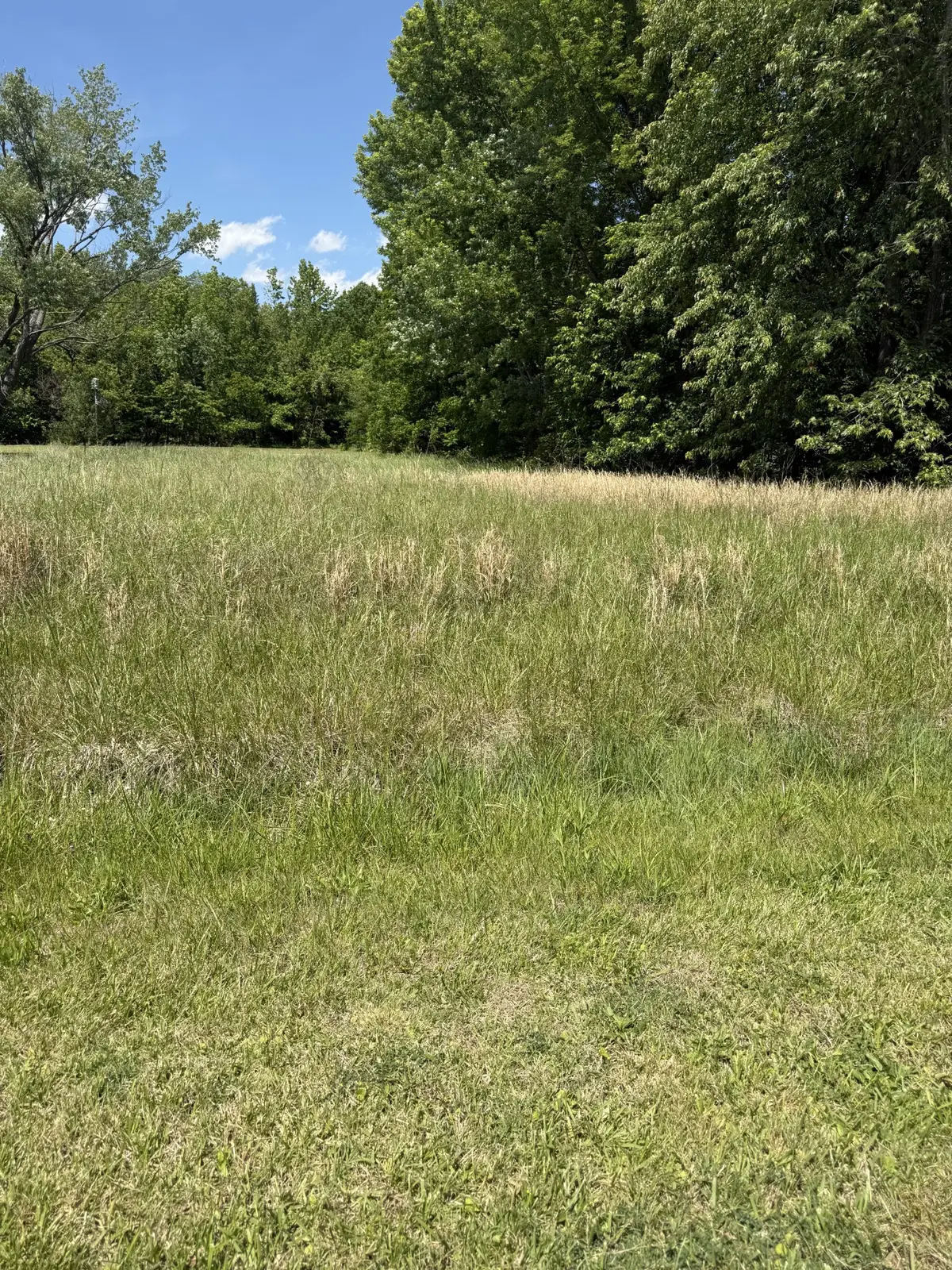 0 Dawn Dr, Cedar Hill, TN 37032 - #1