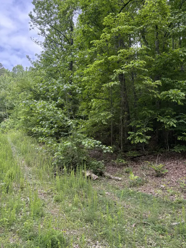225 Hollow Road, Whitwell, TN 37397