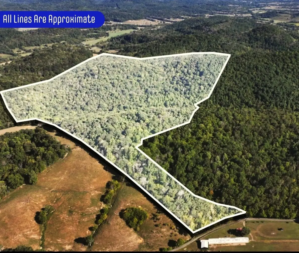 20 Cedar Bluff Road, Lafayette, TN 37083 - #1