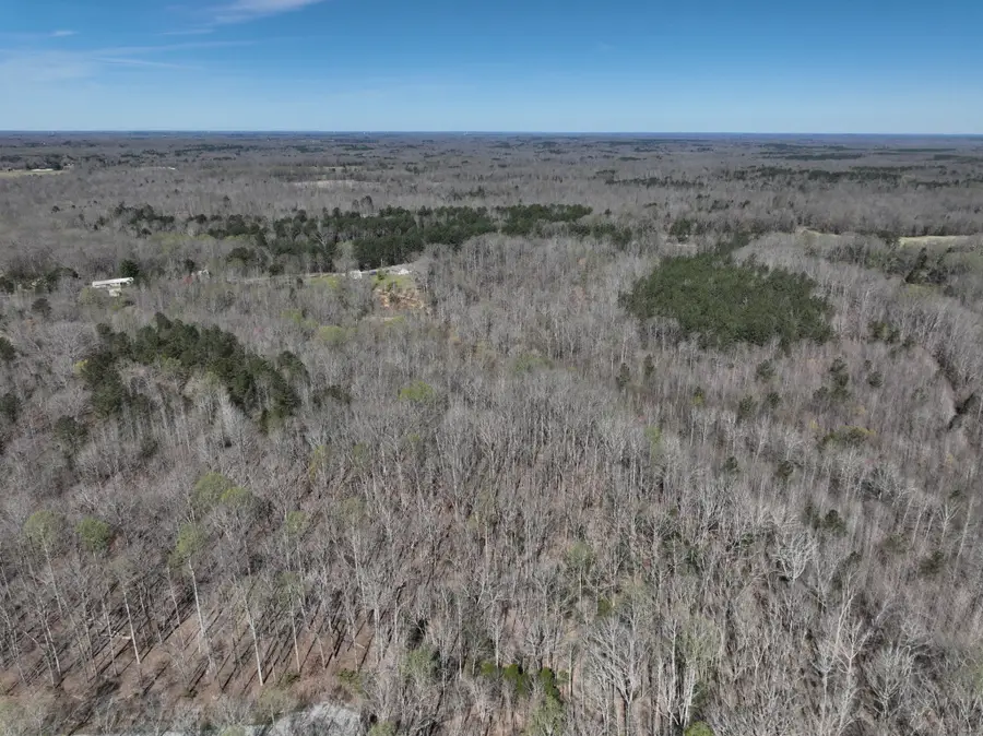 0 Logger Lane, Cedar Grove, TN 38321 - #3