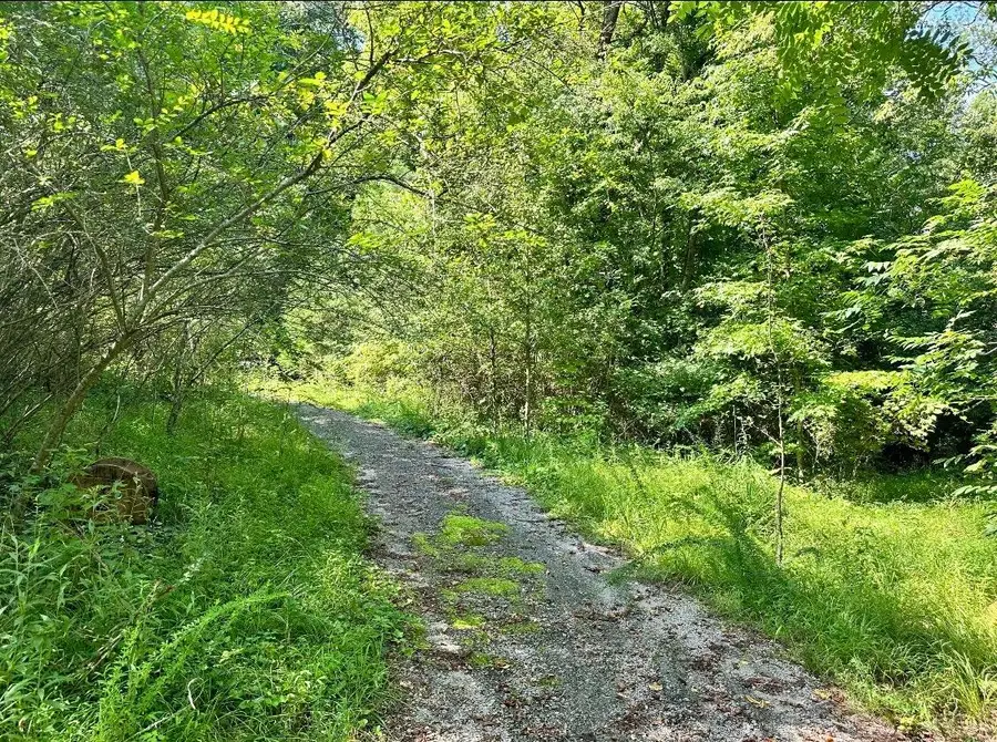 77 Waterlevel Highway E, Cleveland, TN 37323 - #3